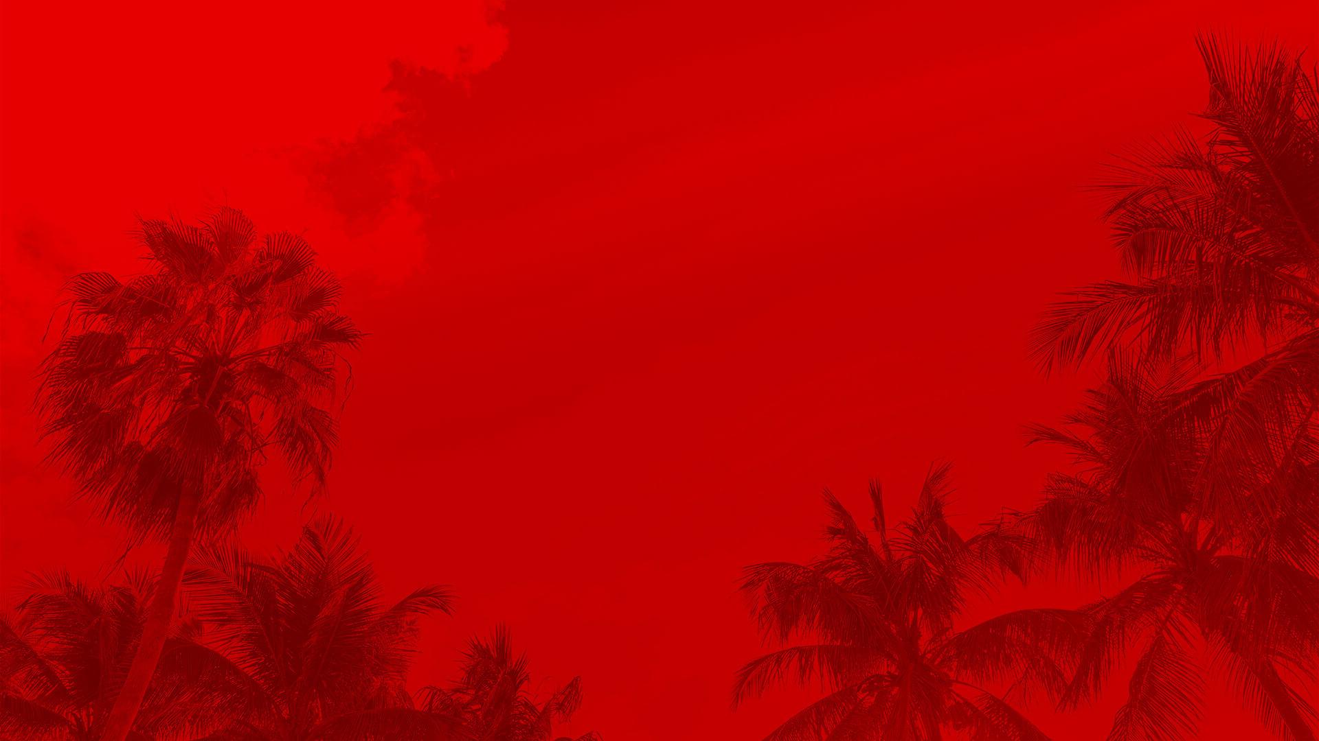 Palm trees under the sky with a red tint overlay